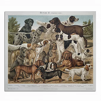 Антикварная хромолитография "Собаки". Дополнительное изображение