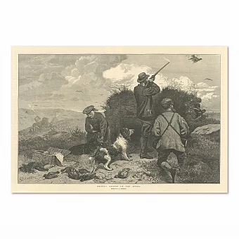 "Охота на куропаток" - оригинальная антикварная гравюра. Дополнительное изображение