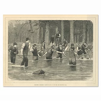 "Ловля лосося острогой" - антикварная гравюра - London news. Дополнительное изображение