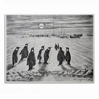 Оригинальный офорт "Пингвиния". Дополнительное изображение