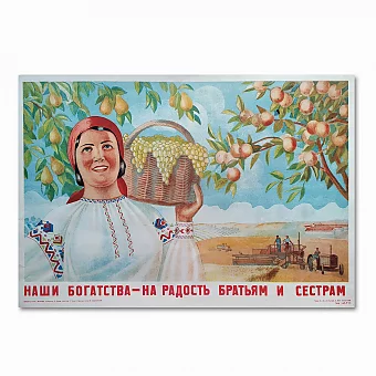 Оригинальный плакат "Наши богатства". Дополнительное изображение