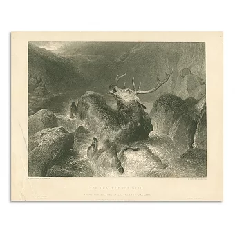 Антикварная гравюра "Смерть оленя". Дополнительное изображение