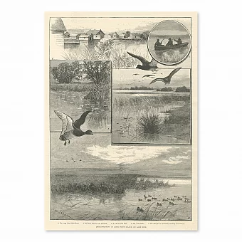 "Охота на уток на озере Эри" - антикварная гравюра. Дополнительное изображение