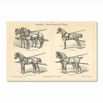 Антикварная гравюра "Сбруя". Дополнительное изображение