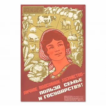 "Личное подсобное хозяйство - польза семье и государству!" - оригинальный плакат. Дополнительное изображение