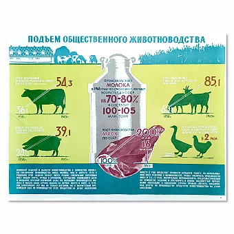 Советский плакат "Подъем общественного животноводства". Дополнительное изображение