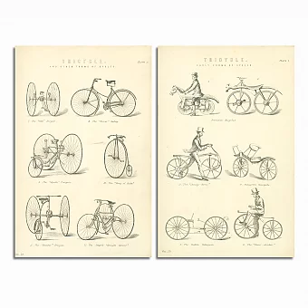 Антикварные гравюры "Ранние формы велосипедов". Дополнительное изображение