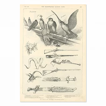 "Экспонаты охотников. Выставка в Лондоне" - антикварная гравюра. Дополнительное изображение