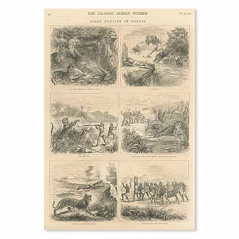 "Охота на тигра в Бенгалии" - оригинальная антикварная гравюра. Дополнительное изображение