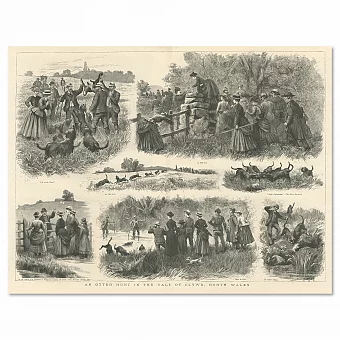"Охота на выдр. Северный Уэльс" - антикварная гравюра. Дополнительное изображение