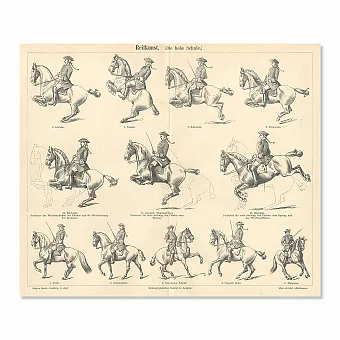 "Искусство верховой езды" - антикварная гравюра - вип подарок. Дополнительное изображение