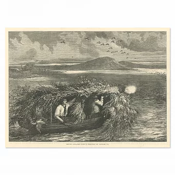 "Стрельба по уткам в Чесапикском заливе" - антикварная гравюра. Дополнительное изображение