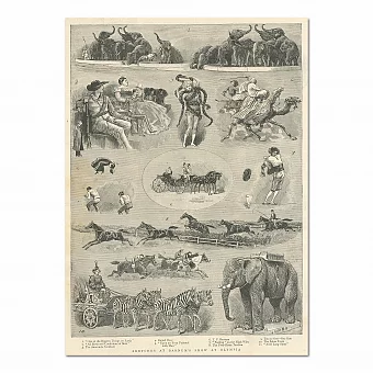 "Цирк" - антикварная редкая гравюра. Дополнительное изображение