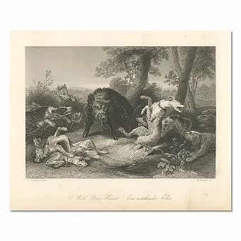 Антикварная гравюра "Охота на дикого кабана" - эксклюзивный подарок. Дополнительное изображение