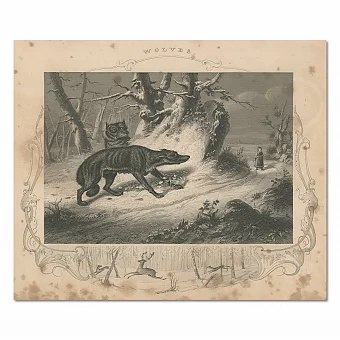 "Волки" - антикварная оригинальная гравюра. Дополнительное изображение