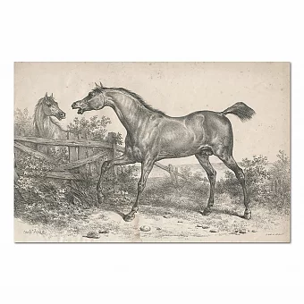 Редкая антикварная литография из серии "Большая свита лошадей". Дополнительное изображение