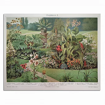 Антикварная хромолитография "Декоративные растения". Дополнительное изображение