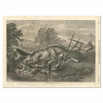 "Охота на антилопу" - антикварный экземпляр гравюры. Дополнительное изображение