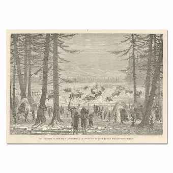 "Охота на северных оленей" - антикварная гравюра. Дополнительное изображение