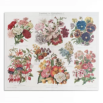 Антикварная хромолитография "Садовые растения". Дополнительное изображение