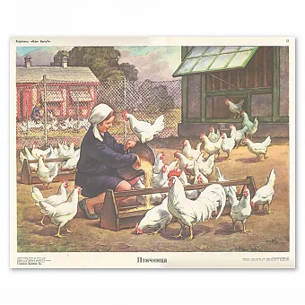 Винтажный советский плакат "Птичница". Дополнительное изображение