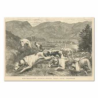 "Охотничий трэйлинг" - антикварная гравюра - вип подарок. Дополнительное изображение