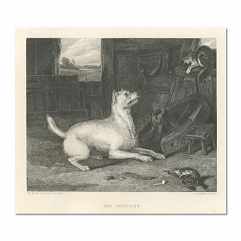 "Злоумышленник" - редкая антикварная гравюра. Дополнительное изображение