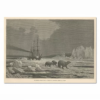 "Преследование медведя" - антикварная гравюра. Дополнительное изображение